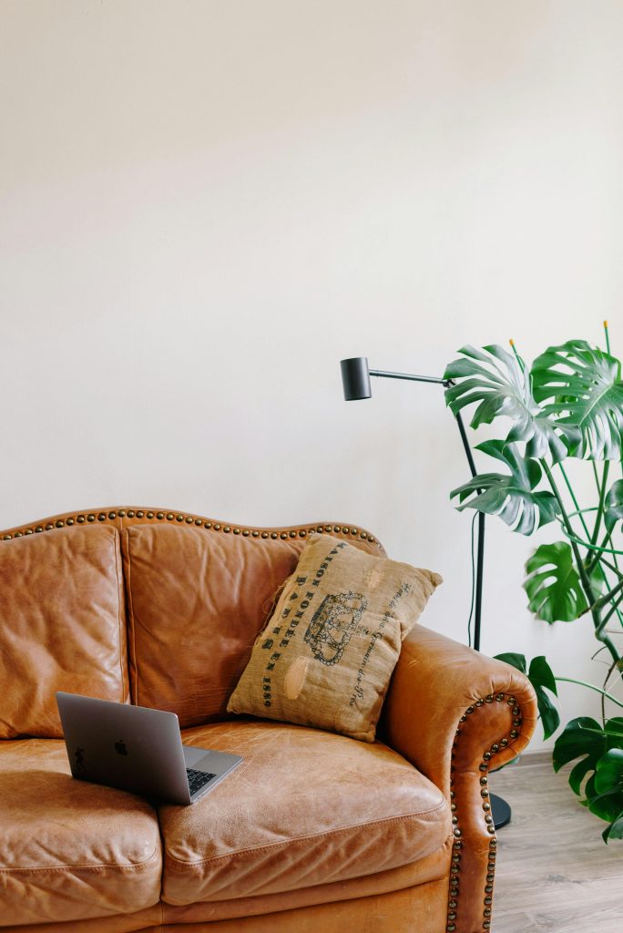 Stylish living room featuring a premium handcrafted leather sofa with tufted detailing, a vintage throw pillow, and a sleek laptop. Complemented by modern décor, a black floor lamp, and vibrant green indoor plants, creating a cozy and elegant ambiance.By Jai Bhairav Art and Craft